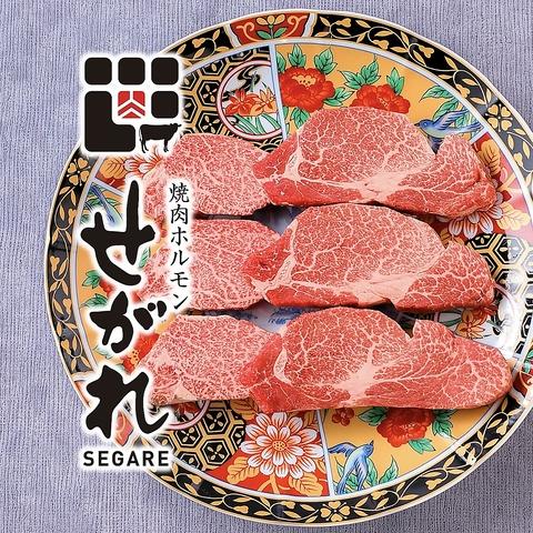焼肉ホルモン せがれ 豊田市駅