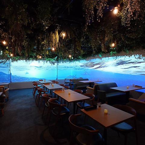 aruhi morinonaka アルヒモリノナカ