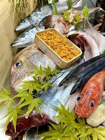 寿司 割烹 みやもと