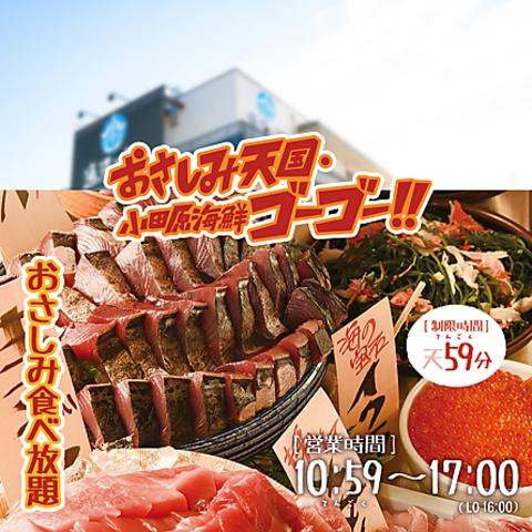 おさしみ天国 小田原海鮮ゴーゴー