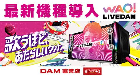 ビッグエコー BIG ECHO 亀田駅前通店