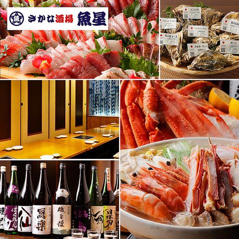 さかな酒場 魚星 溝の口西口店