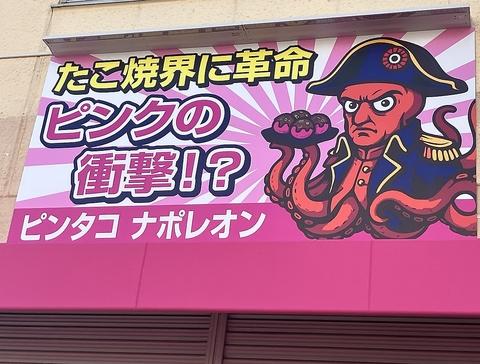 ピンタコナポレオン