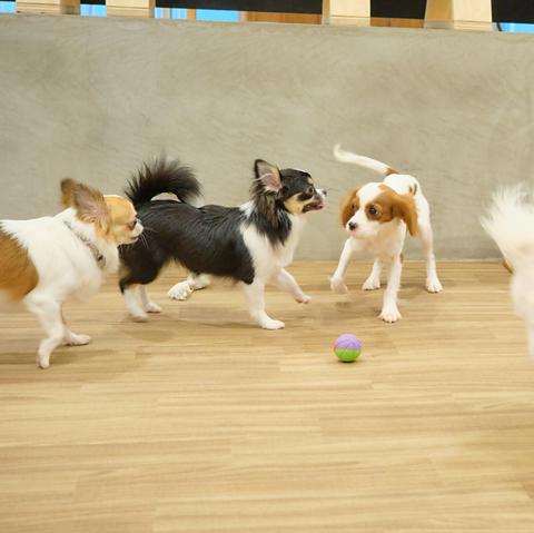 AHBASE エーエイチベース