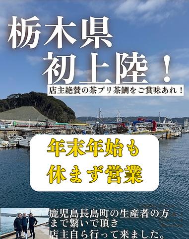 和食ダイニング かもめ