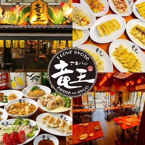 I Love Gyoza アキバの竜王 秋葉原総本店