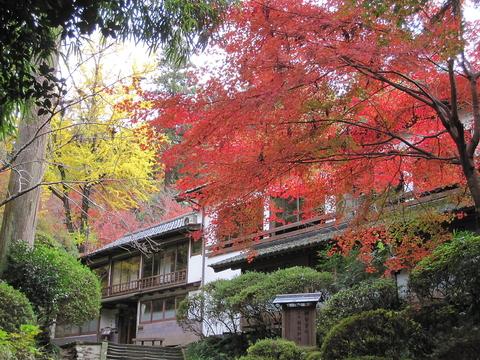 松琴館