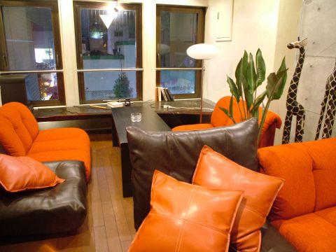 ディライフル トリケラトプス DEILIGHTFUL