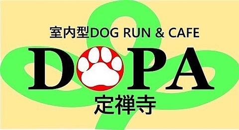 室内型DOG RUN & CAFE「DOPA」定禅寺