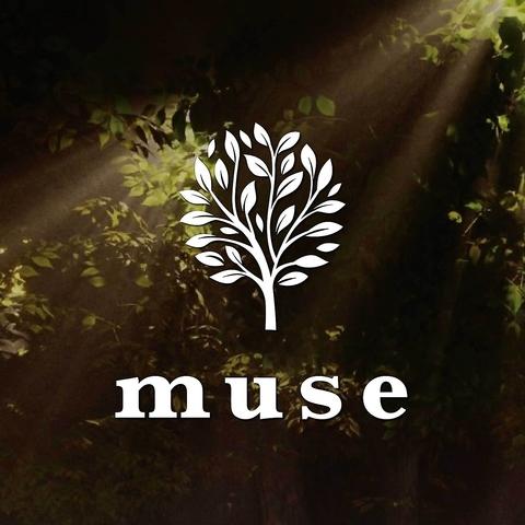 シーシャカフェ&バー muse 名古屋錦店