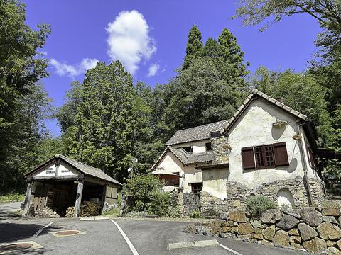 PASTA PINO パスタ ピーノ