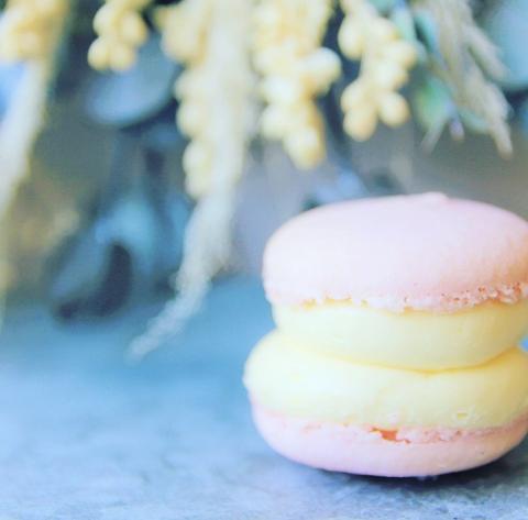 chubby macaron sapporo