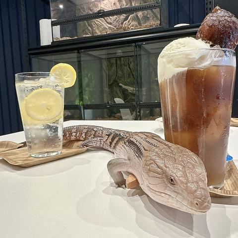 爬虫類カフェedge