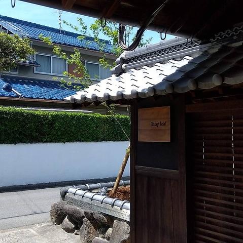 KITCHEN&CAFE Baby leaf