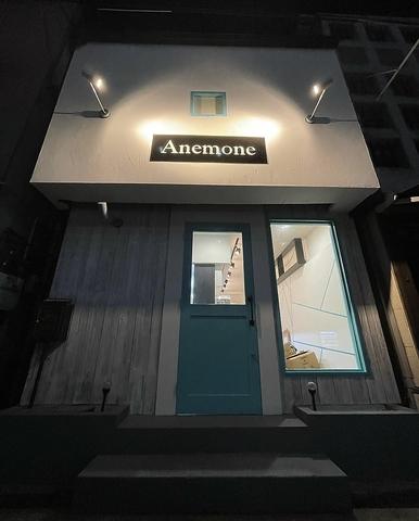 Anemone アネモネ