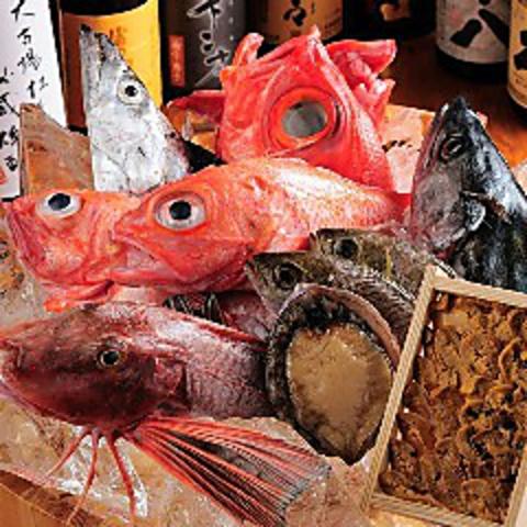 銀平 魚匠 KITTE 丸の内店