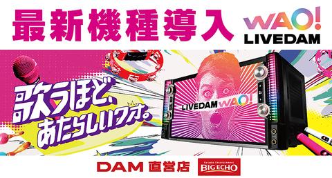 ビッグエコー BIG ECHO 新潟駅前花園店