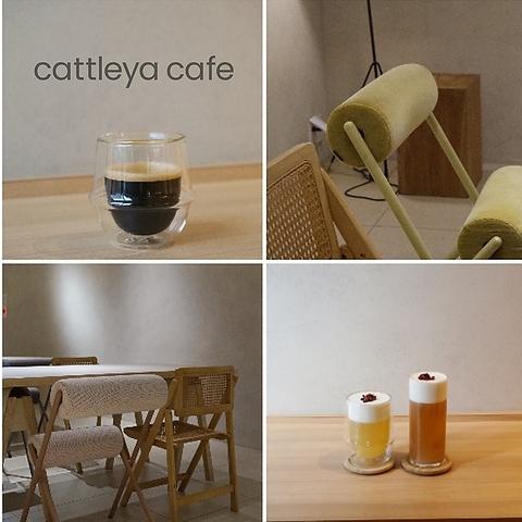 Rand表参道 cattleya cafe
