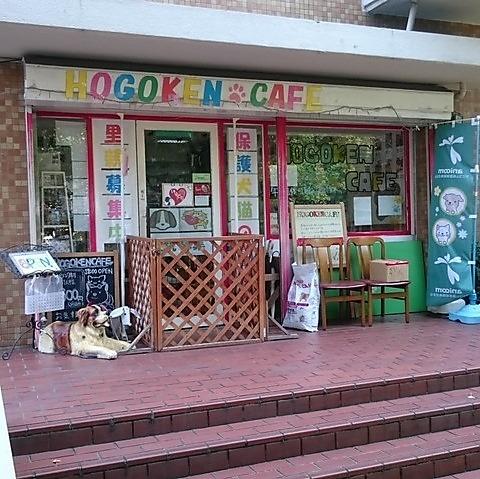 保護犬 保護猫カフェ 天神橋店