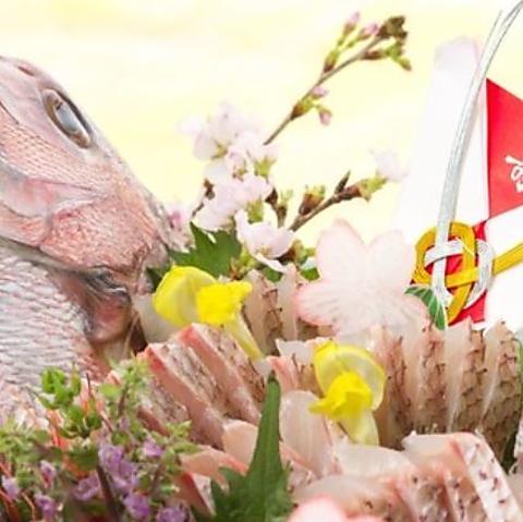 居酒屋 道後 鯛将