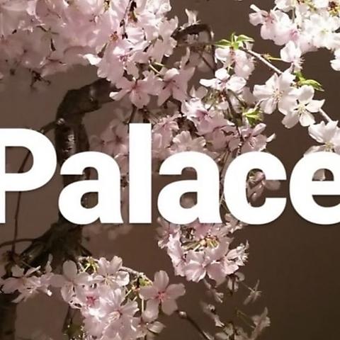 Palace パレス