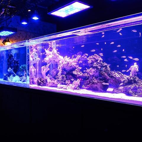 アクアリウム&BAR Numbar M ナンバーエム