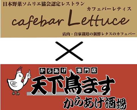 レティス Lettuce × 天下鳥ます からあげ酒場