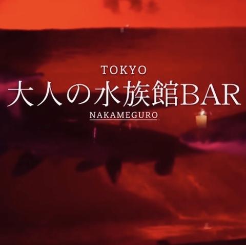 アクアラウンジ グランシップ