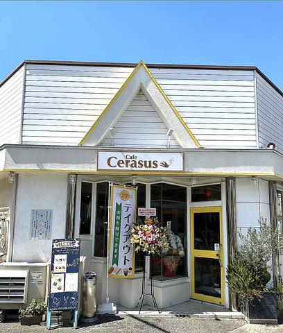 Cafe Cerasus カフェ ケラスス