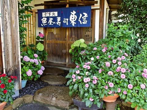 魚屋の寿司 東信