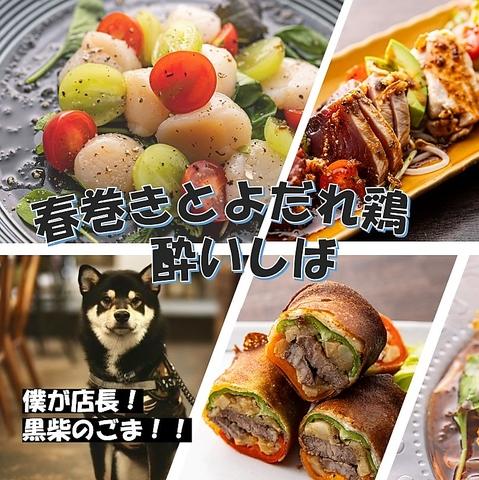 春巻きとよだれ鶏　酔いしば　谷町六丁目