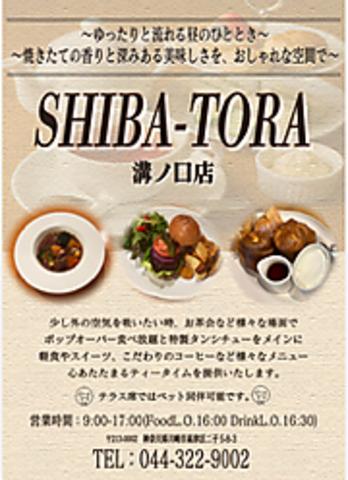 SHIBATORA 溝ノ口店