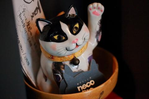 ねこじろう necojiro 明大前