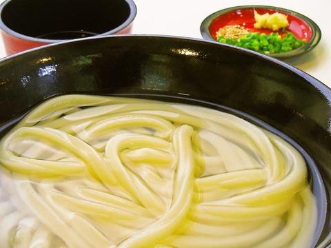 さぬきうどん。たんぽぽ