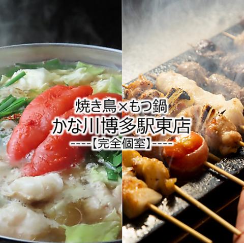 焼き鳥 もつ鍋 かな川博多駅東店