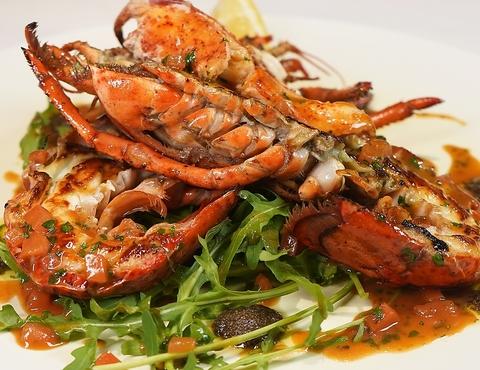 intellctuary アンテレクチュアリー