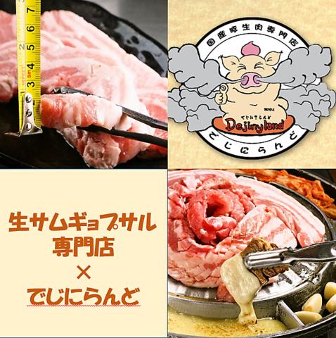 でじにらんど 新大久保店