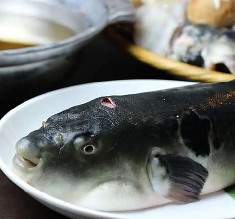 ふぐ はも すっぽん料理専門 まる 三宮店