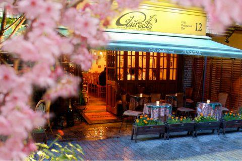 オリオール AUREOLE