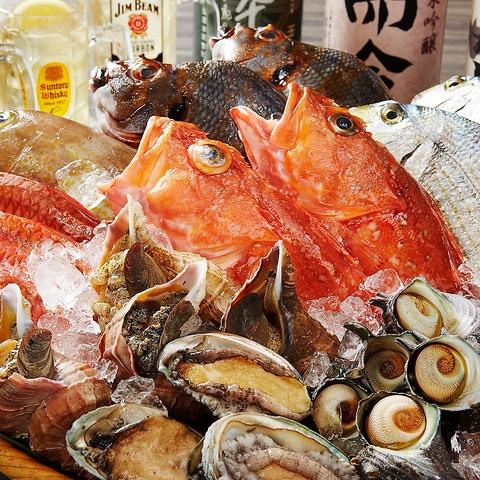 魚盛 コレド室町テラス店