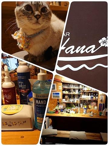 お家BAR HANA ハナ