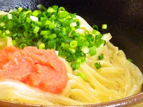 UDON 陽