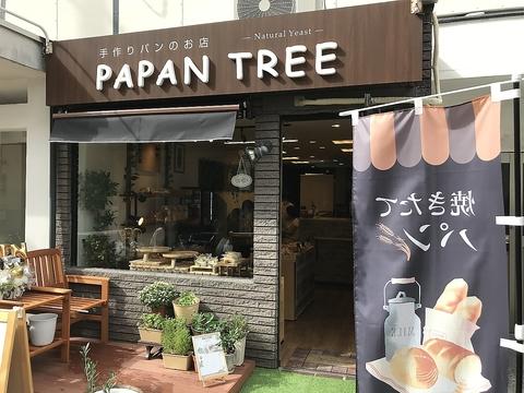 PAPAN TREE パパンツリー