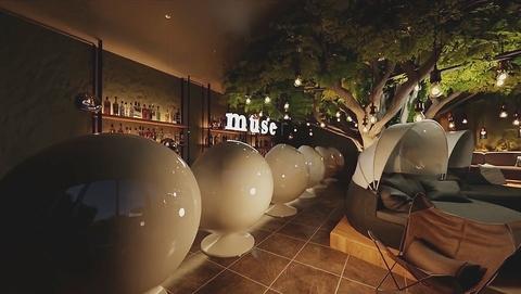 muse ミューズ 渋谷道玄坂店