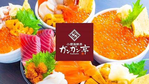 小樽海鮮丼 ガンガン亭