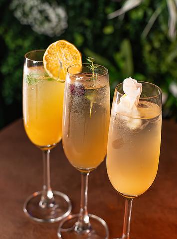 果実酒バー Chatty Garden -Japanese Fruit liqueur Bar