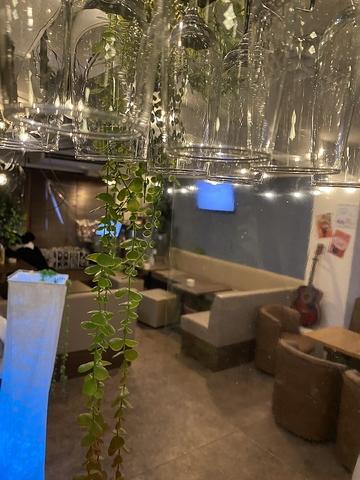 Muu muu ムームー