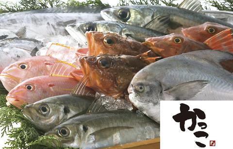 三陸鮮魚と炭焼牛たん　かっこ盛岡駅前店