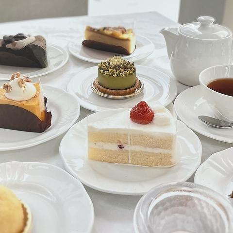 ヒルトンプラザ ベンジャミーナ