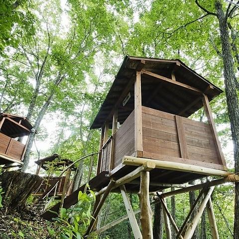 ツリーハウスレストラン